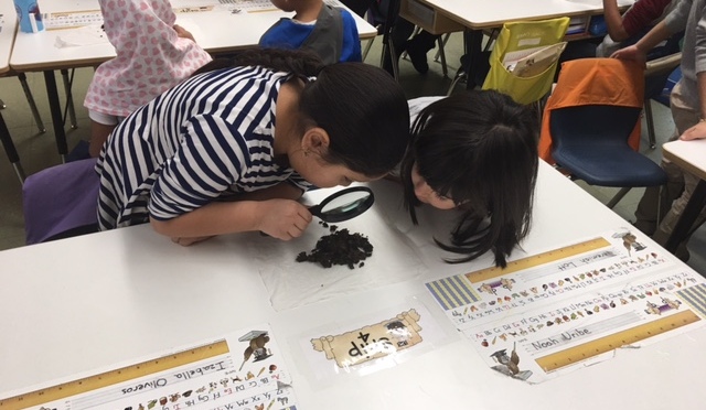 New Rochelle Trinity First Graders Study Worms With Great Enthusiasm