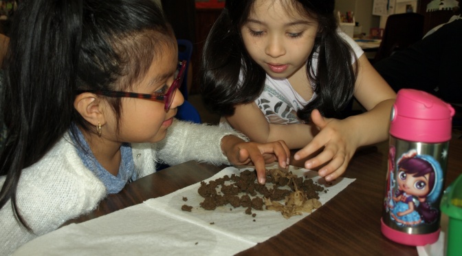 “The Worms are Back!” New Rochelle Webster 1st Graders Learn About Worms