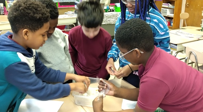 Mount Vernon Students learn about how materials interact with the environment